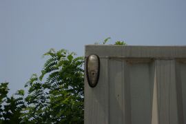 凯威中卡&nbsp;载货车上装                                                图片