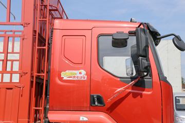  ³M3п 160 4X2 6.75ײդʽػ(LZ5161CCYM3AB)ͼƬ