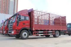 福田 瑞沃Q5 170马力 4X2 6.7米仓栅式载货车(BJ5165CCY-FC)