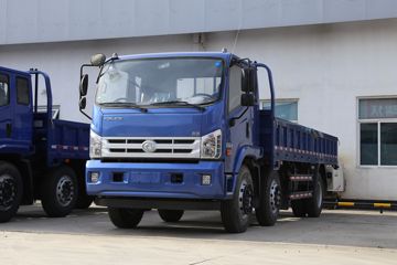 福田 时代H3 170马力 6.7米排半栏板轻卡(BJ1175VKPEB-FA)