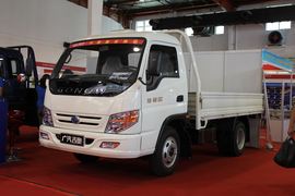 星福&nbsp;载货车外观                                                图片