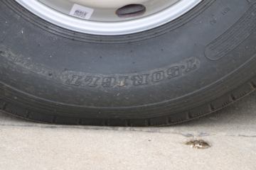 ���� ������K6-L 2018�� ���Ͱ� 150���� 4.17�׵�����ʽ�Ῠ(EQ5041XXY8BDBAC)ͼƬ