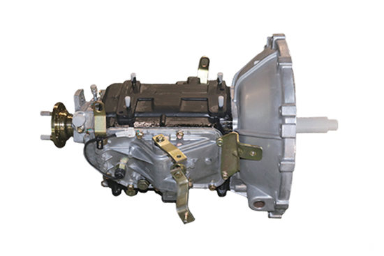 ������WLY5TS32(4.72) 5�� �ֶ���������