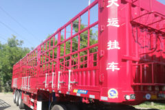 大运 13米鹅颈花栏对开半锁杆仓栅式半挂车
