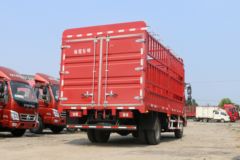 福田 奥铃CTX 143马力 4.23米单排仓栅式轻卡(断气刹)(BJ5043CCY-FF)