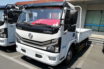 东风 多利卡D6-L 115马力 4.17米单排越野栏板轻卡(EQ2040S2BDF)