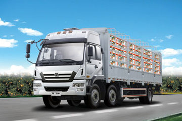 徐工 瑞龙重卡 240马力 6X2 仓栅式载货车(NXG5200CSY3A)
