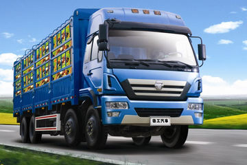 徐工 瑞龙重卡 240马力 8X2 仓栅式载货车(NXG5318CSY3)