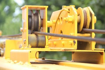 ɭԴ�ع� 8�� һ�϶�������� ����ͼƬ