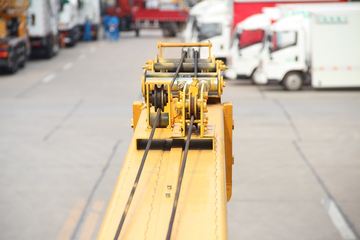 ɭԴ�ع� 8�� һ�϶�������� ����ͼƬ