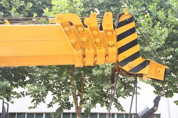 ɭԴ�ع� 8�� һ�϶�������� ����ͼƬ