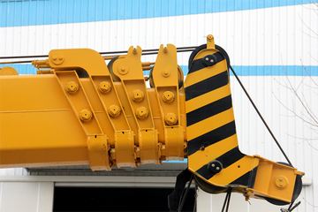 ɭԴ�ع� 8�� ���绪�� �������� ����(����)ͼƬ