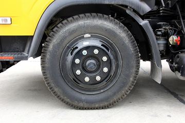 ɭԴ�ع� 8�� ���绪�� �������� ����(����)ͼƬ