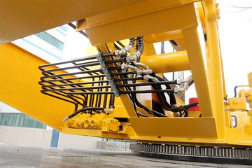 ɭԴ�ع� 12�� ���绪�� �������� ����ͼƬ