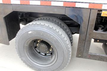 ɭԴ�ع� 12�� ���绪�� �������� ����ͼƬ