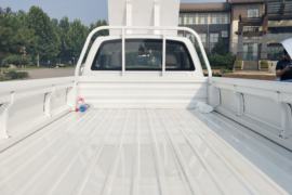 神骐F30&nbsp;皮卡上装                                                图片