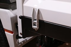 大众 Delivery 4X2载货车