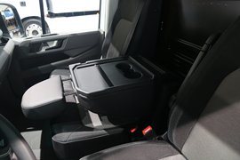 TGE&nbsp;电动封闭厢货驾驶室图片