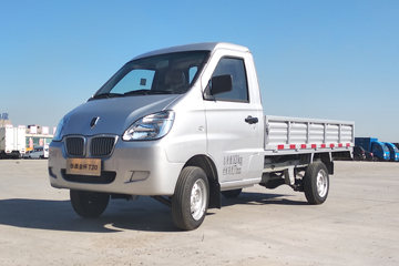 �� T20 ��׼�� 2018�� 1.0L 61���� 2.7�׵�������΢��(SY1020YB4AJ)ͼƬ