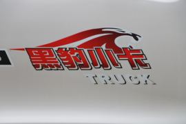 黑豹Q7&nbsp;载货车外观                                                图片