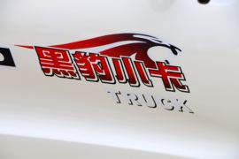 黑豹H7&nbsp;载货车外观                                                图片
