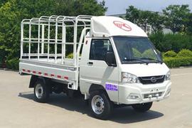 锐菱&nbsp;电动载货车外观图片