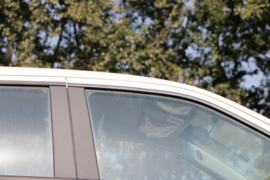 域虎3&nbsp;皮卡外观                                                图片