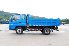 时骏 D510 82马力 3.2米自卸车(LFJ3041SCG2)