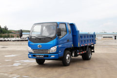 时骏 D510 82马力 3.2米自卸车(LFJ3041SCG2)