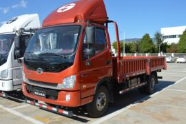 时骏F550&nbsp;载货车外观                                                图片