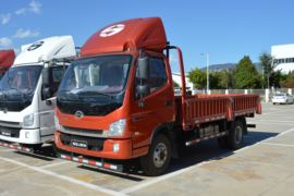 时骏F550&nbsp;载货车外观                                                图片