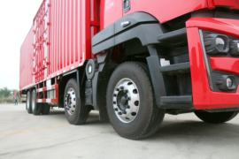 威龙&nbsp;载货车外观                                                图片