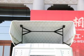 德龙L6000&nbsp;载货车外观                                                图片