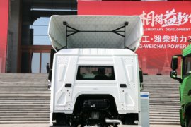 德龙L6000&nbsp;载货车外观                                                图片