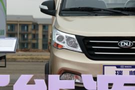 瑞帅F系 载货车外观                                                图片