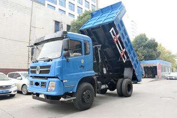 ���� ����T25 185���� 4X2 3.8����ж��(��130ǰ�ö�)(EQ3041L8GDAAC)ͼƬ