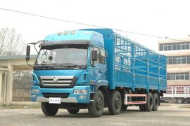 瑞龙&nbsp;载货车外观                                                图片