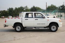 小老虎&nbsp;皮卡外观                                                图片