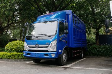 福田 奥铃新捷运 184马力 4.18米单排仓栅式轻卡(国六)(BJ5048CCY-A1)