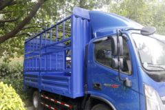 福田 奥铃新捷运 184马力 4.18米单排仓栅式轻卡(国六)(BJ5048CCY-A1)