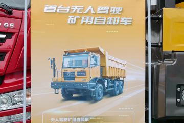 �칤 �h��P9 310���� 6X4 ���˼�ʻ���������ж��ͼƬ