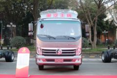 中国重汽成都商用车 瑞狮 160马力 4X2 CNG 4.15米单排轻卡底盘 中国重汽成都商用车 瑞狮 160马力 4X2 CNG 4.15米单排轻卡底盘