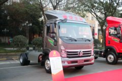 中国重汽成都商用车 瑞狮 160马力 4X2 CNG 4.15米单排轻卡底盘 中国重汽成都商用车 瑞狮 160马力 4X2 CNG 4.15米单排轻卡底盘