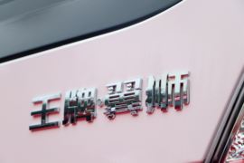 翼狮&nbsp;电动载货车外观图片