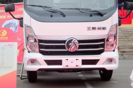 翼狮&nbsp;电动载货车外观图片