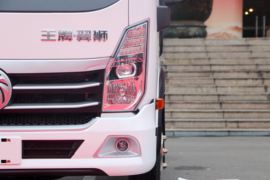 翼狮&nbsp;电动载货车外观图片