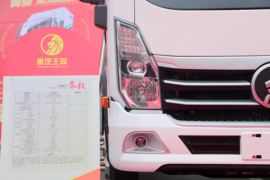 翼狮&nbsp;电动载货车外观图片