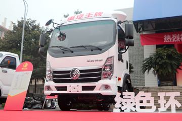 翼狮&nbsp;电动载货车外观图片