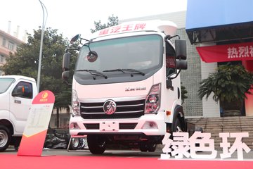 翼狮&nbsp;电动载货车外观图片