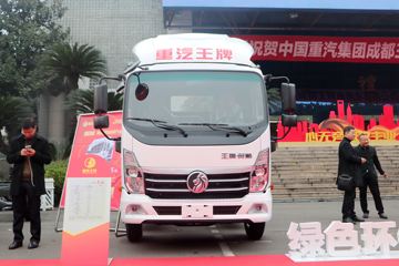 翼狮&nbsp;电动载货车外观图片